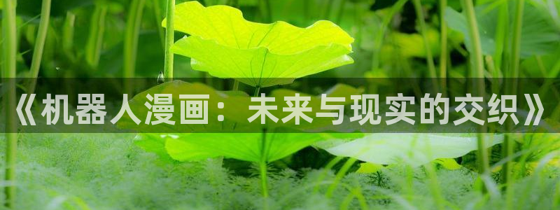 羞羞漫画韩漫网站：《机器人漫画：未来与现实的交织》